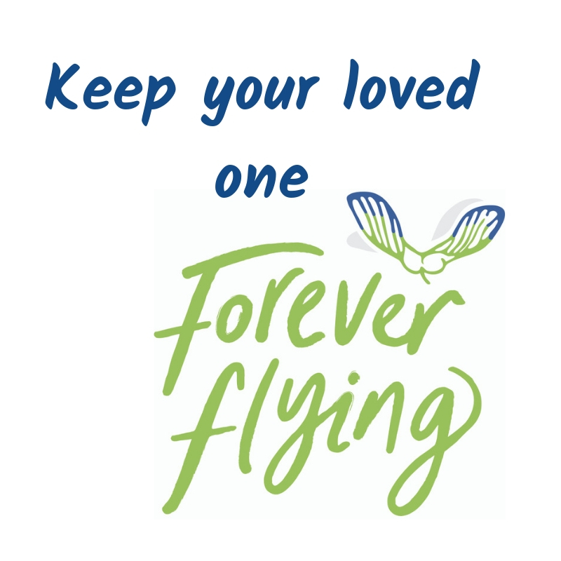 Keep your loved one Forever Flying in a cursive script with a painted outline of a blue and green sycamore seed