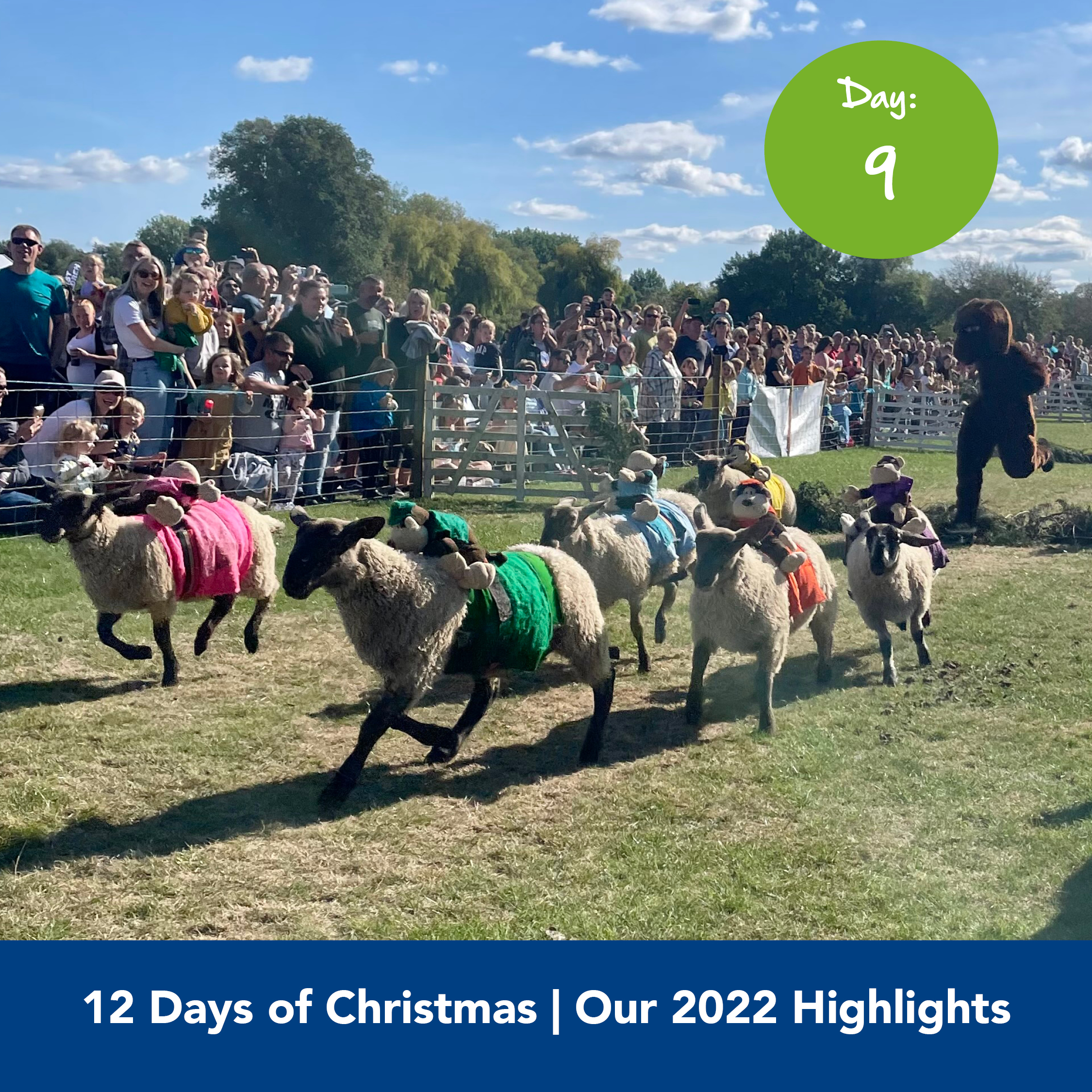 12 days of Xmas