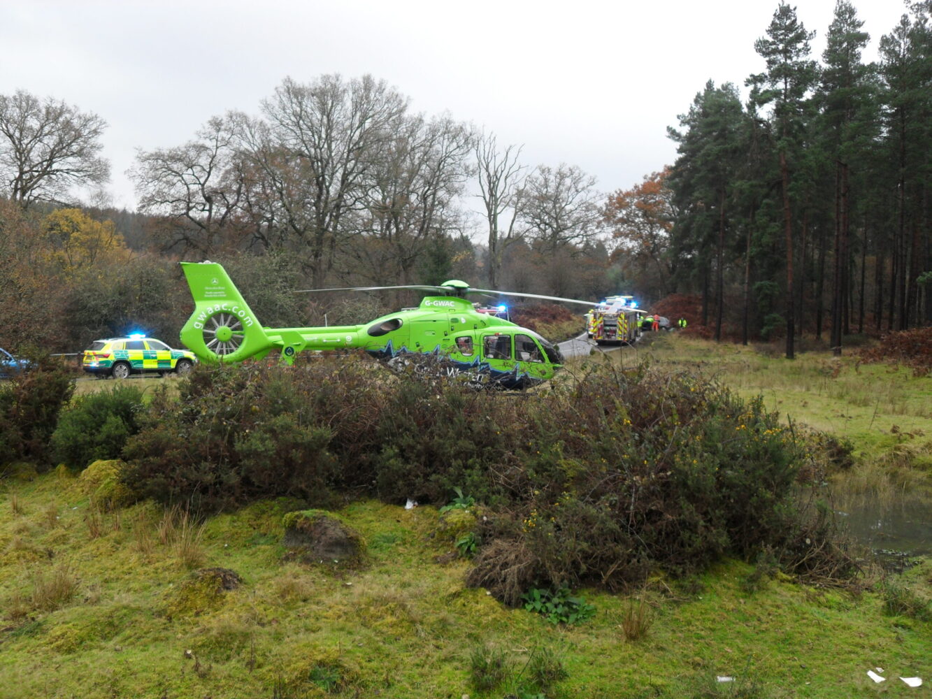 Forest of Dean - near Coleford
