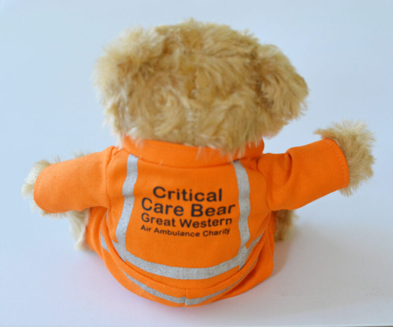 Charlie the Critical Care Bear - Image 2